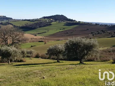 Terreno in Osimo