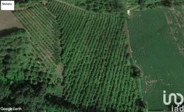 Terreno agricolo in Ponzano di Fermo
