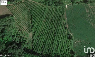 Terreno agricolo in Ponzano di Fermo