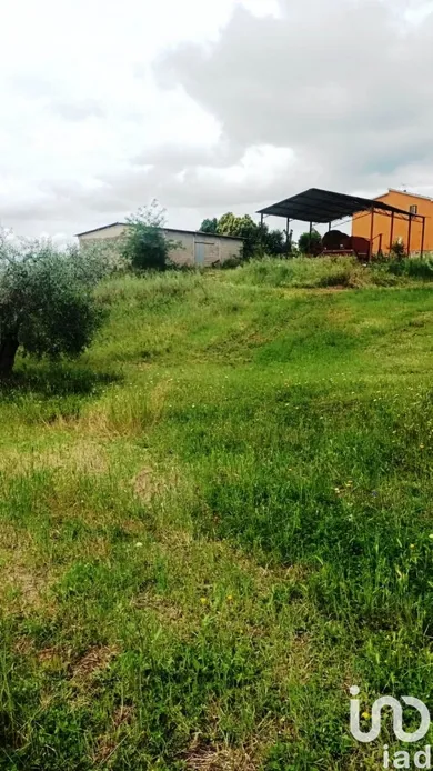 Land in Magliano in Toscana