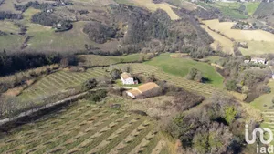 Rustico in San Paolo di Jesi
