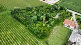 Land in Pramaggiore