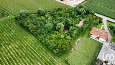 Land in Pramaggiore
