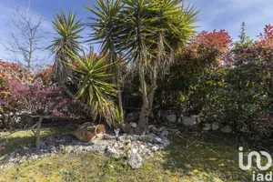 Appartamento in Sirolo