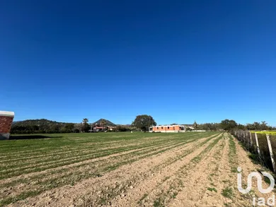 Terreno in Cardedu
