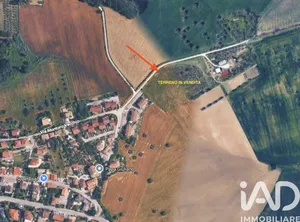 Land in Osimo