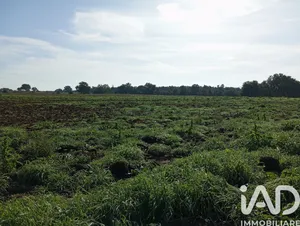 Terreno in Sorano