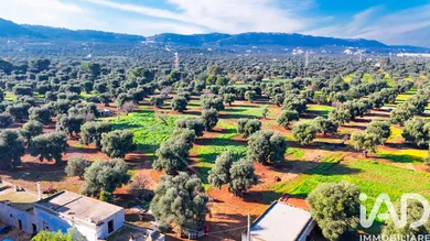 Tenuta storica in Fasano