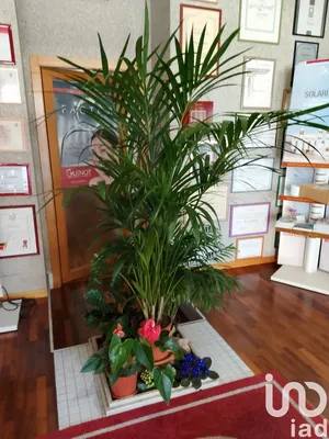 Shop/Premises commercial in Morrovalle