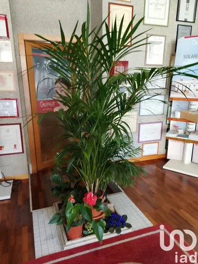 Shop/Premises commercial in Morrovalle