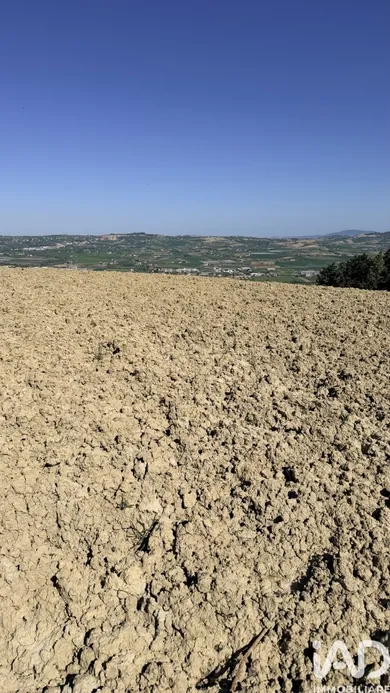 Terreno edificabile in Montegranaro