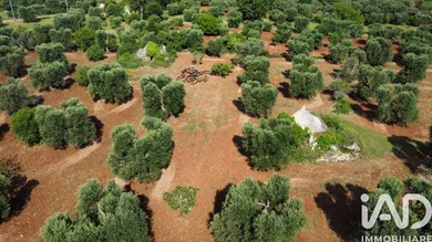 Rustico in Ceglie Messapica