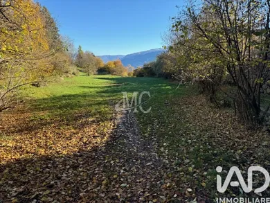 Terreno agricolo in Brentonico