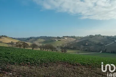 Terreno in Filottrano