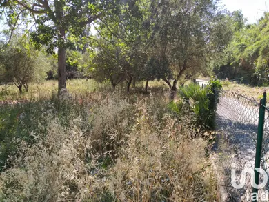 Terreno in Città Sant'Angelo