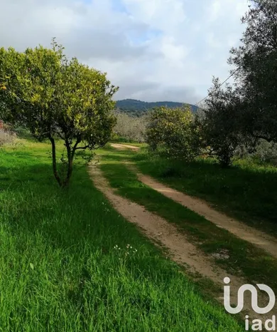 Terreno in Oliena