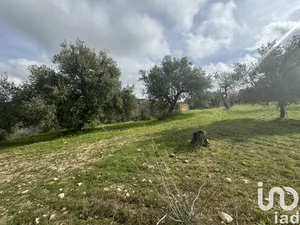 Terreno agricolo in Noto