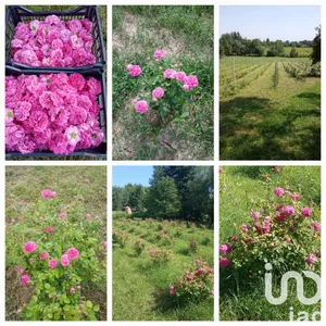 Townhouse in Cafasse