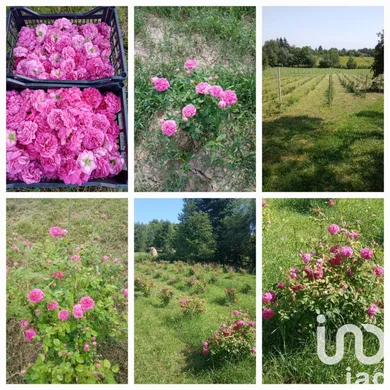 Villetta a schiera in Cafasse