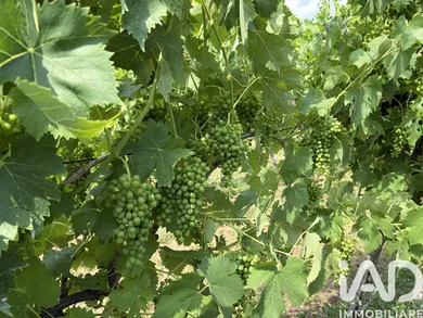 Terreno agricolo in Valeggio sul Mincio