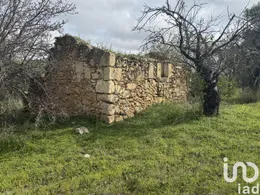 Farm land in Noto