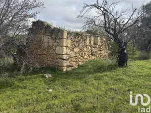 Terreno agricolo in Noto