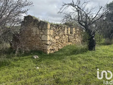 Farm land in Noto