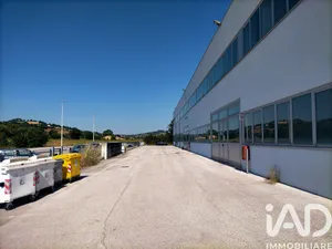 Capannone in Osimo
