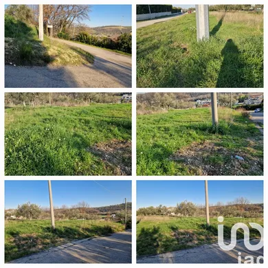 Land in Collecorvino