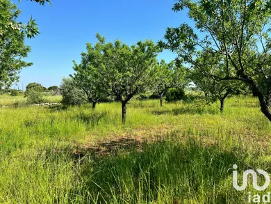 Terreno in Ostuni