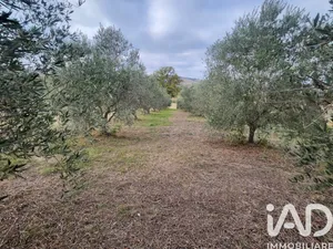 Terreno in Montegiorgio