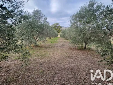 Land in Montegiorgio