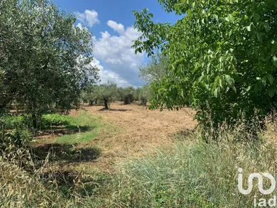Land in Loreto Aprutino