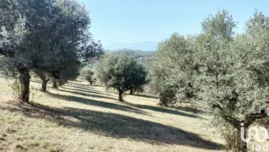 Terreno in Moscufo