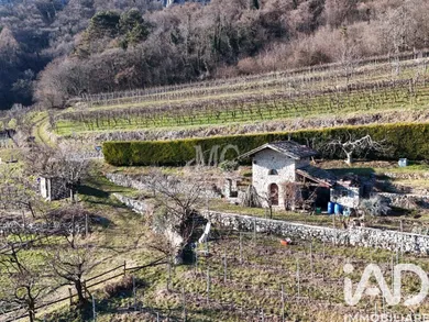 Terreno agricolo in Villa Lagarina