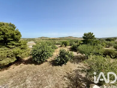 Terreno in Rosolini