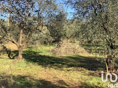 Terreno agricolo in Pistoia