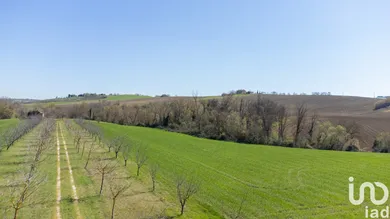 Terreno agricolo in Filottrano