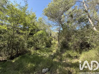 Land in Ventimiglia