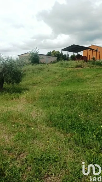 Terreno in Scansano
