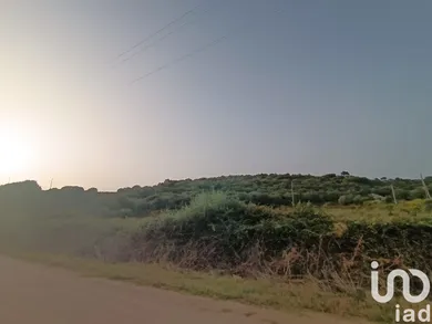 Terreno in Olbia