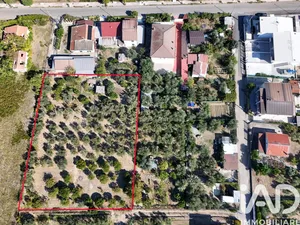 Land in Rossano