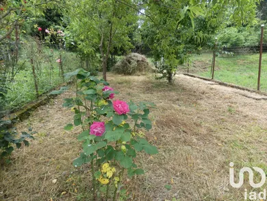Village house in Carro