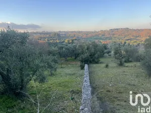 Terreno in Cisternino