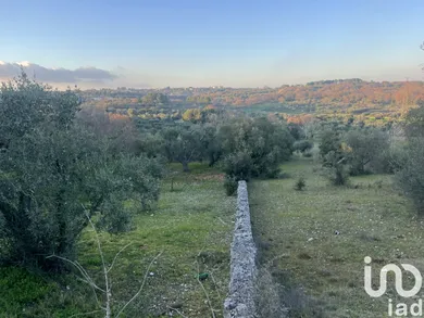 Land in Cisternino