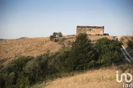 Terreno agricolo in Picciano
