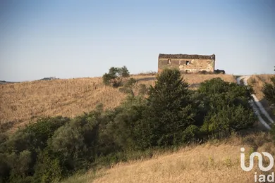 Farm land in Picciano