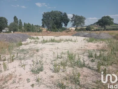 Land in Sant'Ippolito