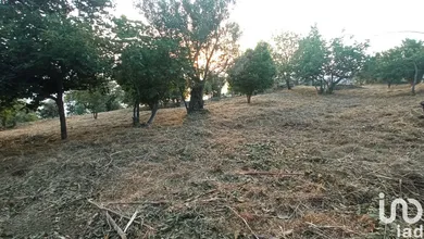 Terreno agricolo in Longobardi