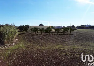 Terreno in Martina Franca